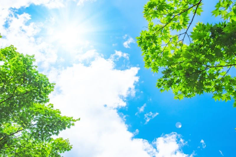 ダウンロード (5)